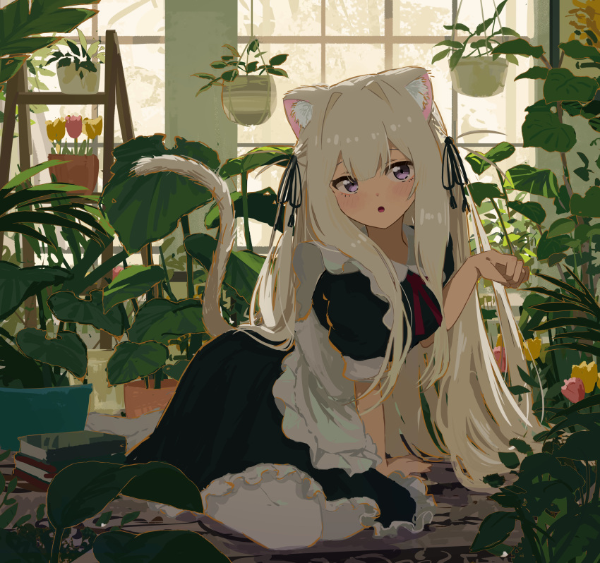 1girl absurdres animal_ear_fluff animal_ears apron arm_support black_dress black_ribbon book book_stack commentary_request dress flower hair_ribbon hanging_plant highres indoors kgt_(pixiv12957613) lion_ears lion_girl lion_tail long_hair maid maid_apron neck_ribbon open_mouth original pantyhose paw_pose plant potted_plant puffy_short_sleeves puffy_sleeves red_ribbon ribbon scenery short_sleeves sitting tail tulip very_long_hair violet_eyes white_apron white_pantyhose window yokozuwari