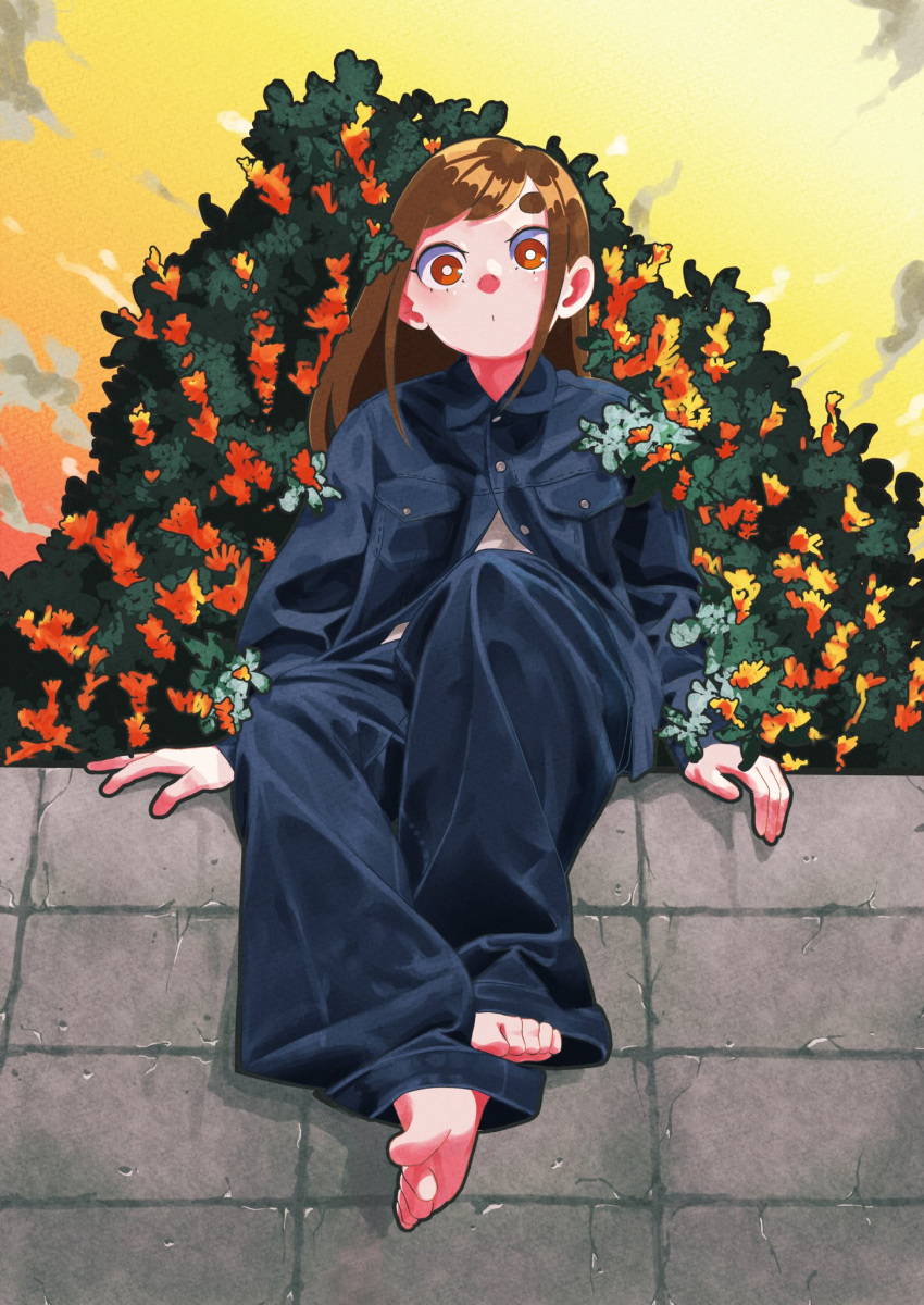 1girl barefoot blue_jacket blue_pants brown_hair bush clouds cloudy_sky commentary dot_mouth dusk flower full_body gold_osmanthus highres ico_illust jacket looking_at_viewer medium_hair open_clothes open_jacket original oversized_clothes pants red_eyes shirt sky solo white_shirt