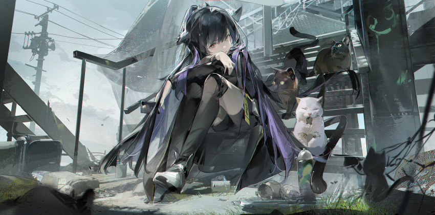 1girl absurdres animal_ears arknights black_cat black_jacket black_shorts black_thighhighs blue_hair brown_eyes can card cat cat_ears cat_girl cat_tail closed_mouth commentary_request credit_card crossed_arms dark_blue_hair expressionless fish_in_mouth full_body graffiti grey_sky highres holding holding_card jacket jessica_(arknights) jessica_the_liberated_(arknights) leaning_forward long_hair long_sleeves looking_at_viewer outdoors ponytail puddle purple_hair shorts sitting sky solo spray_paint stairs steel_beam tail thigh-highs tracyton utility_pole very_long_hair white_cat white_footwear