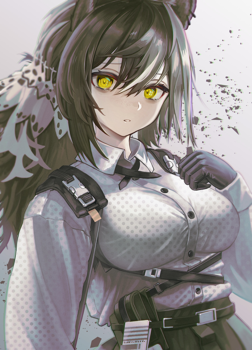 1girl absurdres animal_ears arknights bags_under_eyes belt belt_pouch black_belt black_gloves breasts brown_hair chest_harness collared_shirt commentary cross_tie eabiasan ear_piercing freckles gloves grey_background hair_between_eyes hand_on_own_chest harness highres large_breasts long_hair looking_at_viewer multicolored_hair parted_lips piercing polka_dot polka_dot_shirt ponytail pouch raccoon_ears raccoon_girl robin_(arknights) shirt shirt_tucked_in simple_background solo two-tone_hair upper_body white_hair wing_collar yellow_eyes