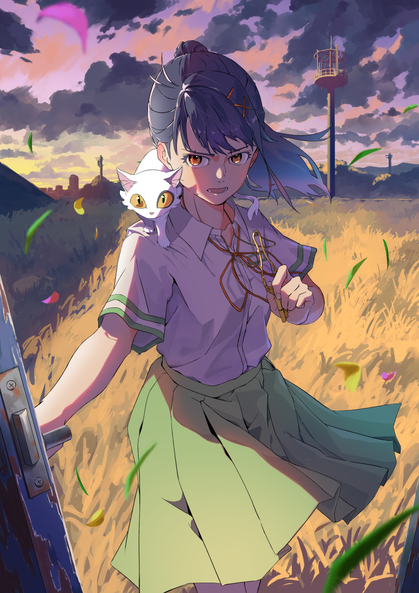 1girl absurdres aku_tako animal_on_shoulder black_hair blurry cat cat_on_shoulder clouds cloudy_sky collared_shirt commentary_request depth_of_field door field green_skirt hand_up highres holding holding_key iwato_suzume key long_hair looking_ahead neck_ribbon open_mouth orange_eyes outdoors pleated_skirt ponytail red_ribbon ribbon school_uniform shirt shirt_tucked_in short_sleeves skirt sky solo suzume_no_tojimari white_shirt wind