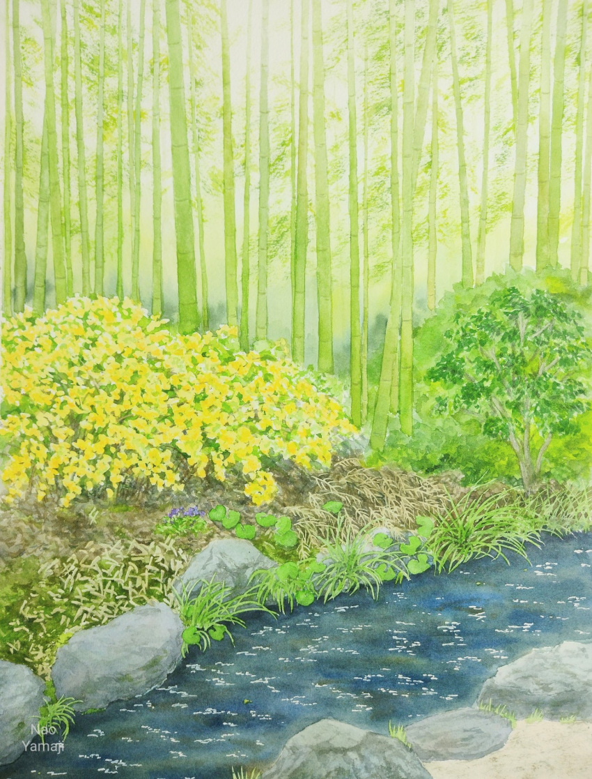 bamboo bamboo_forest blue_flower bush day flower forest grass highres naoy_watercolor nature no_humans original painting_(medium) plant rock sapling scenery stream traditional_media water watercolor_(medium) yellow_flower