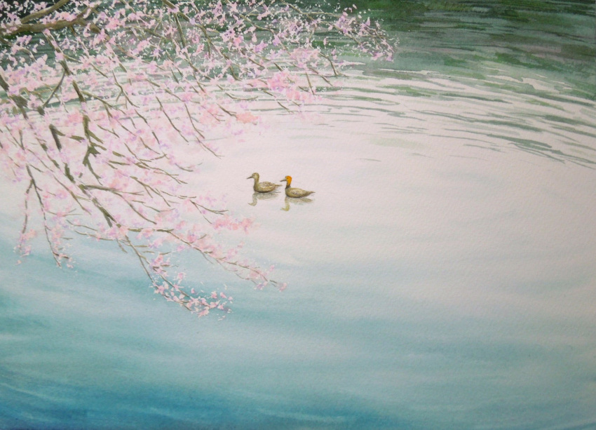 animal bird cherry_blossoms duck highres lake naoy_watercolor no_humans original reflection reflective_water scenery tree water