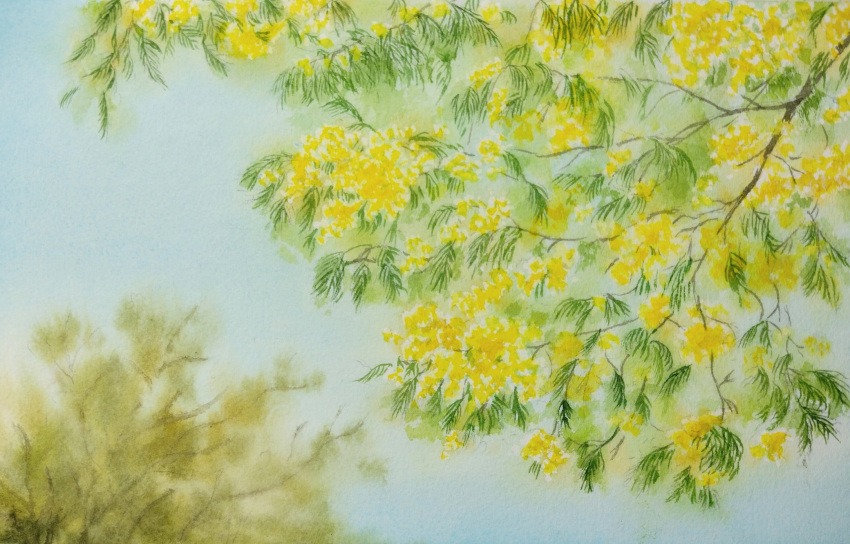 blurry blurry_background branch flower highres mimosa_(flower) naoy_watercolor no_humans original painting_(medium) realistic still_life traditional_media tree watercolor_(medium) yellow_flower