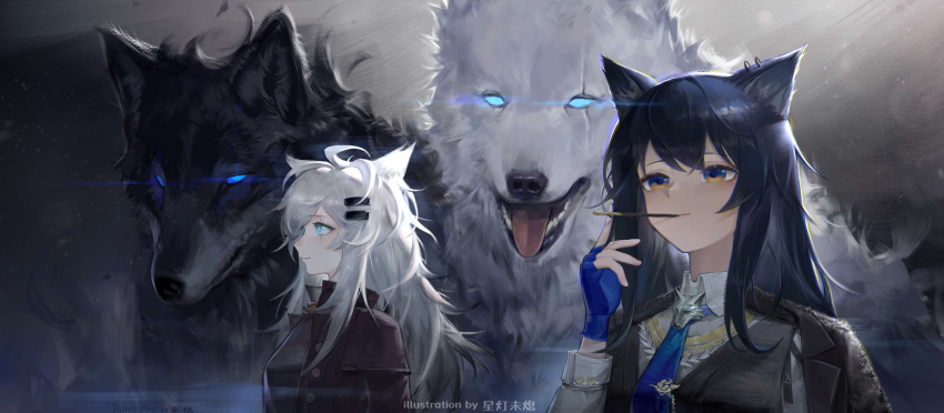 2girls animal animal_ear_fluff animal_ears arknights black_hair black_jacket black_vest blue_eyes blue_gloves blue_necktie collared_shirt commentary ear_piercing english_commentary fingerless_gloves food food_in_mouth gloves glowing glowing_eyes grey_hair hair_ornament hairclip hand_up highres jacket jacket_on_shoulders lappland_(arknights) long_hair long_sleeves mouth_hold multiple_girls necktie piercing pocky shirt texas_(arknights) tongue tongue_out upper_body very_long_hair vest white_shirt wolf xing_deng_wei_xi