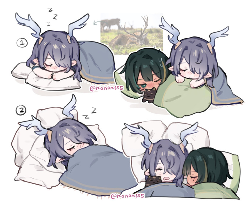 2girls antlers blanket cat chibi chibi_only commentary curled_horns deer_antlers deer_girl english_commentary genshin_impact green_eyes green_hair hair_over_one_eye highres horns lauma_(genshin_impact) mole mole_under_eye multiple_girls nefer_(genshin_impact) nonons photo_inset pillow pointy_ears purple_hair sleeping sweat zzz