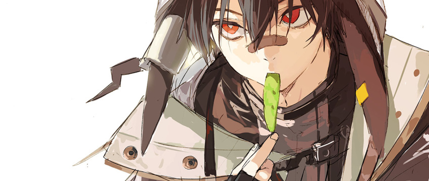 1boy animal_ears arknights ayerscarpe_(arknights) bandaid bandaid_on_face bandaid_on_nose black_gloves bright_pupils brown_hair brown_jacket earclip eating fingerless_gloves gloves hood hood_up jacket letterboxed looking_to_the_side male_focus pako_(pakosun) pea_pod portrait rabbit_boy rabbit_ears red_eyes short_hair simple_background sketch solo upper_body white_background white_pupils