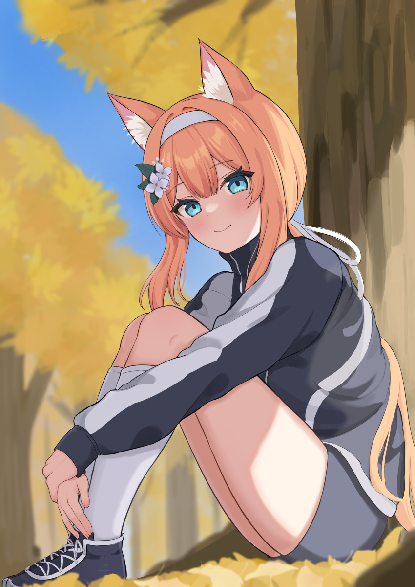 1girl absurdres animal_ears autumn autumn_leaves black_footwear blue_archive blue_eyes blush breasts closed_mouth flower grey_shorts hair_flower hair_ornament highres long_hair long_sleeves looking_at_viewer mari_(blue_archive) mari_(track)_(blue_archive) mikeran5648 official_alternate_costume orange_hair shoes shorts sitting small_breasts socks solo white_flower white_socks