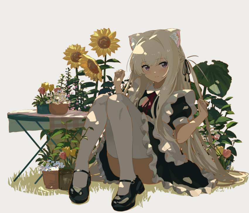 1girl animal_ear_fluff animal_ears apron black_dress black_ribbon blonde_hair closed_mouth dress flower frilled_apron frilled_dress frills hair_ribbon highres kgt_(pixiv12957613) knees_together_feet_apart knees_up lion_ears looking_at_viewer maid maid_apron mary_janes neck_ribbon one_side_up original plant puffy_short_sleeves puffy_sleeves red_ribbon ribbon shoes short_sleeves sitting smile sunflower thigh-highs violet_eyes white_apron white_thighhighs