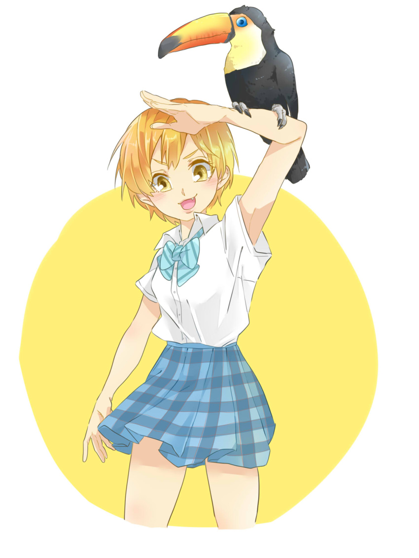 1girl :3 animal_on_arm arm_up bird bird_on_arm blue_bow blue_bowtie blue_skirt bow bowtie breasts collared_shirt commentary_request cowboy_shot cropped_legs dress_shirt fang highres hoshizora_rin kashikaze looking_at_viewer love_live! love_live!_school_idol_project open_mouth orange_hair otonokizaka_school_uniform plaid plaid_skirt school_uniform shirt shirt_tucked_in short_hair short_sleeves simple_background skirt small_breasts solo striped striped_bow striped_bowtie toucan two-tone_background white_background white_shirt yellow_background yellow_eyes