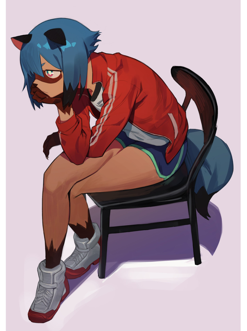 1girl absurdres animal_ears animal_nose aqua_eyes aqua_shorts asymmetrical_bangs black_hair black_shirt blue_hair blue_shorts border brand_new_animal bright_pupils brown_fur chair closed_mouth commentary dolphin_shorts double_vertical_stripe full_body furry furry_female hand_to_own_face hand_up highres jacket kagemori_michiru letterboxed long_sleeves multicolored_hair open_clothes open_jacket p_(pm_611a) pink_eyes purple_background raccoon_ears red_footwear red_jacket shirt shoes short_eyebrows short_hair_with_long_locks shorts sidelocks simple_background sitting sneakers solo straight_hair two-tone_eyes two-tone_footwear two-tone_fur two-tone_hair two-tone_shirt two-tone_shorts v-shaped_eyebrows white_border white_footwear white_pupils white_shirt