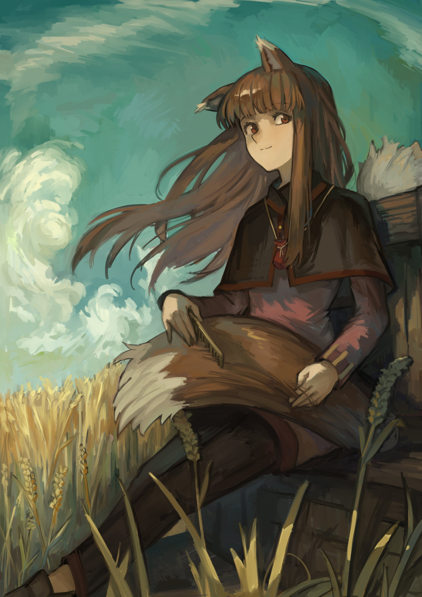 brown_hair holo kornod long_hair medieval red_eyes spice_and_wolf