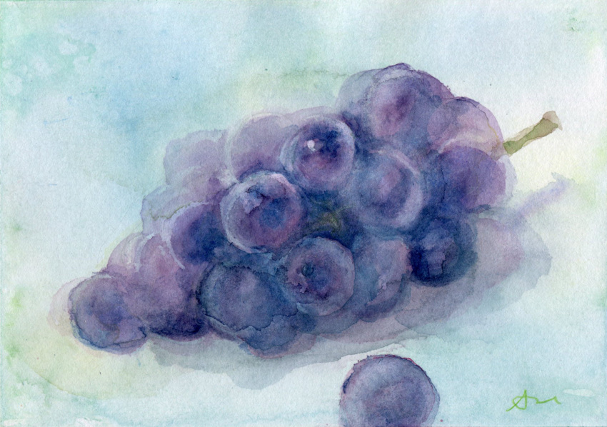 amima_amita branch food fruit grapes highres no_humans original painting_(medium) realistic signature still_life traditional_media watercolor_(medium) white_background