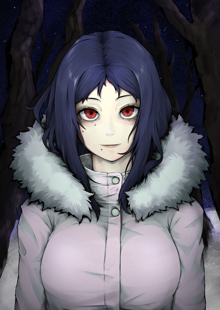1girl bare_tree blue_hair breasts chainsaw_man closed_mouth commentary fur-trimmed_hood fur_trim highres hood hood_down hooded_jacket jacket large_breasts light_smile long_sleeves looking_at_viewer medium_hair mole mole_on_cheek mole_under_eye mole_under_mouth multiple_moles night night_sky outdoors red_eyes saketobaku santa_claus_(chainsaw_man) sky solo star_(sky) tree upper_body white_jacket