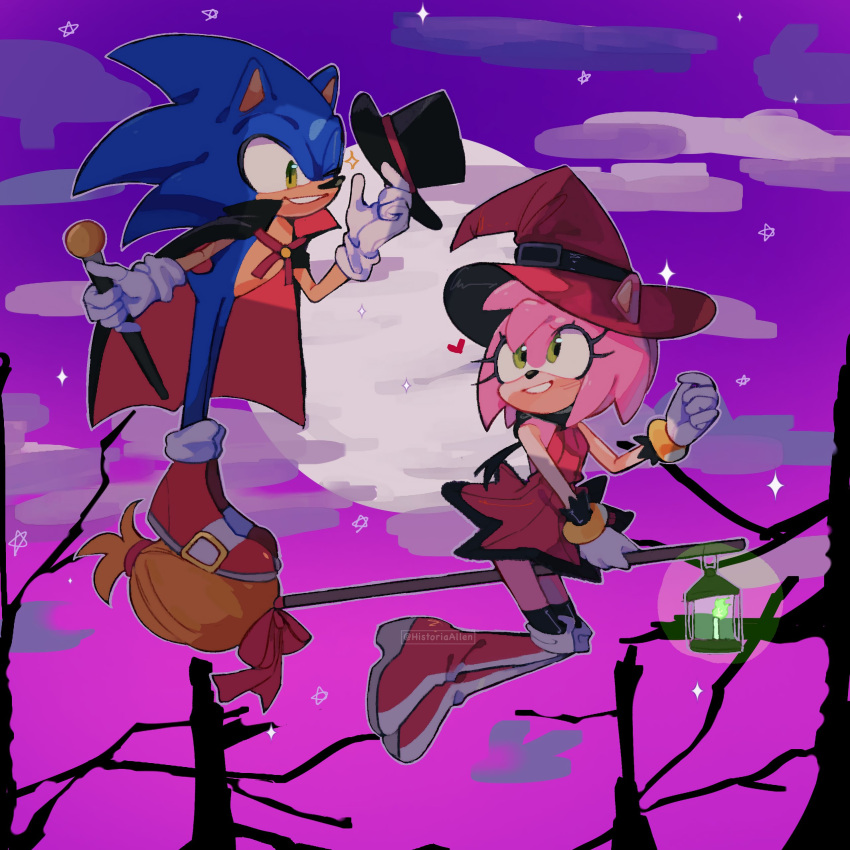 absurdres amy_rose animal_ears bare_tree broom broom_riding full_moon halloween halloween_costume hat hedgehog hedgehog_ears hedgehog_girl hedgehog_tail highres historiaallen holding holding_clothes holding_hat looking_at_another moon night night_sky oil_lamp one_eye_closed sky sonic_(series) sonic_the_hedgehog tail tree vampire vampire_costume witch witch_hat