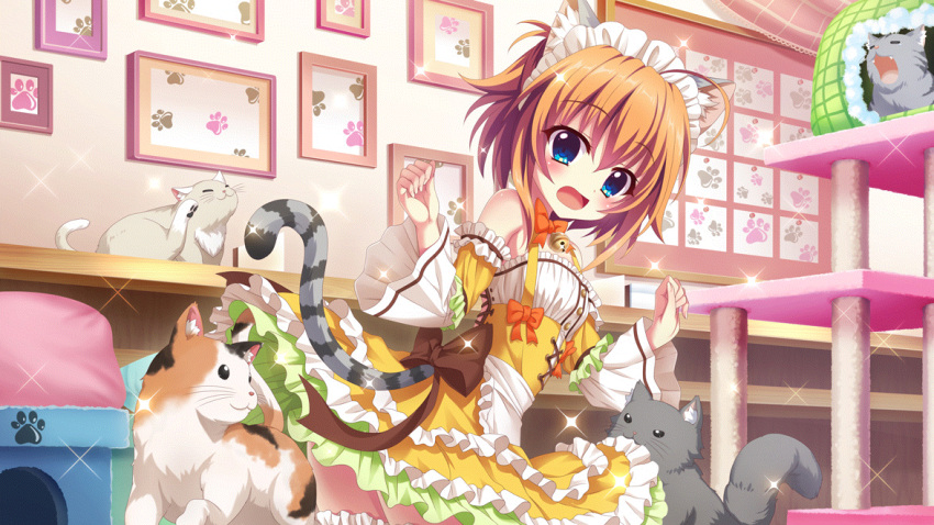 1girl ahoge animal_ears back_bow bare_shoulders bell biting biting_clothes blue_eyes blush bow brown_bow calico cat cat_ears cat_tail cat_tower corset detached_sleeves dot_nose dress fake_animal_ears fake_tail film_grain frilled_skirt frills from_side game_cg grey_cat hands_up indoors izumi_tsubasu jingle_bell layered_skirt looking_at_viewer maid maid_headdress non-web_source official_art open_mouth orange_bow orange_hair paw_print paw_print_pattern picture_frame re:stage! shikimiya_mana short_hair sidelocks skirt solo sparkle striped_tail surprised tail thigh-highs white_cat white_dress yawning yellow_skirt zettai_ryouiki