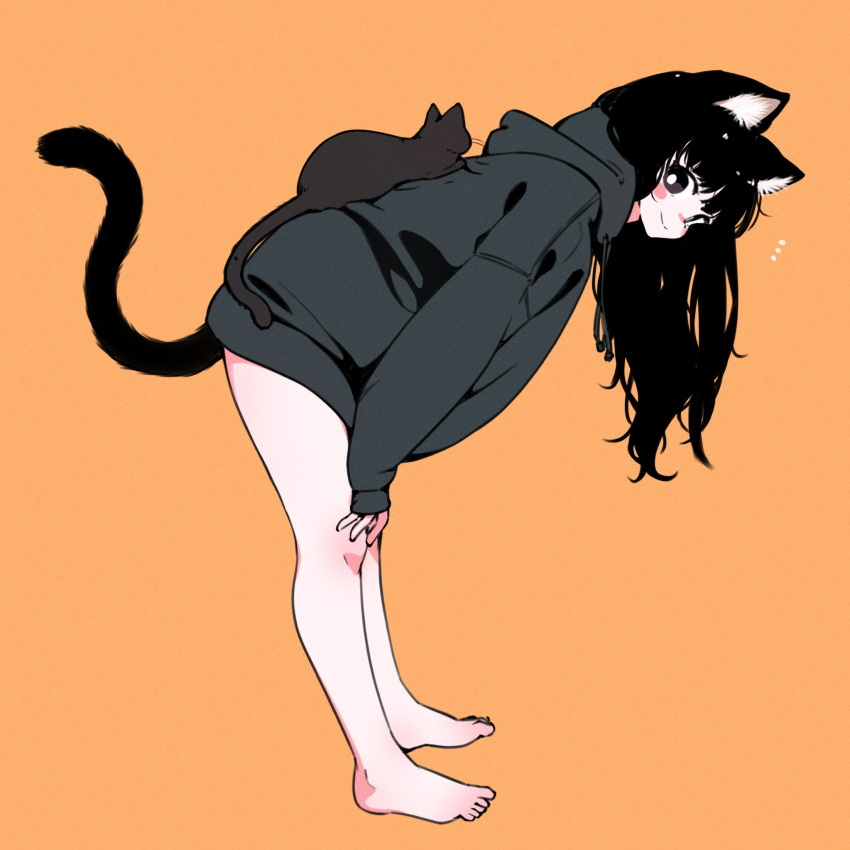 1girl animal_ear_fluff animal_ears bare_legs barefoot bent_over black_cat black_eyes black_hair cat cat_ears cat_girl cat_tail from_side full_body grey_hoodie hands_on_own_knees highres hood hoodie long_hair looking_at_viewer megateru no_pants notice_lines orange_background original oversized_clothes sleeves_past_wrists solo tail toes