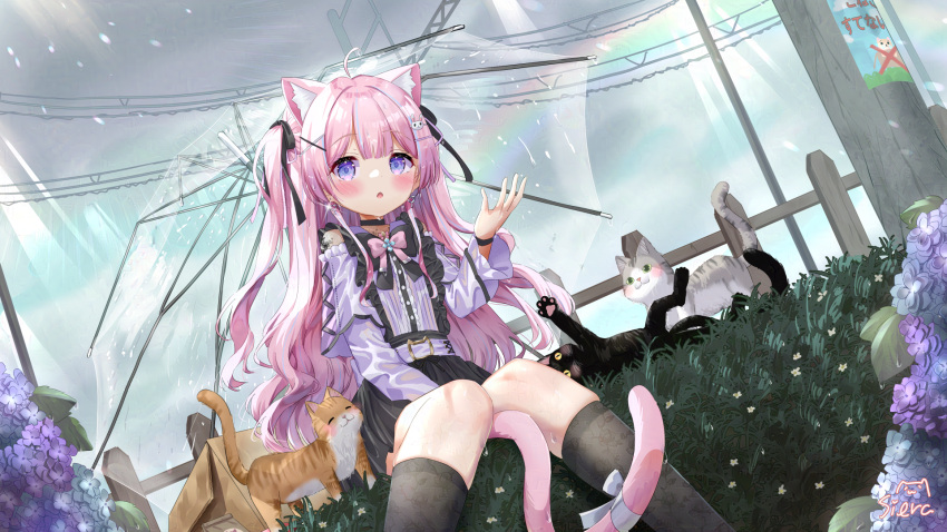 1girl :o ahoge animal animal_ear_fluff animal_ears bare_shoulders black_bow black_cat black_skirt blue_flower blue_hair blush bow box cardboard_box cat cat_ears cat_girl cat_tail center_frills commentary_request earrings flower frills glint grey_bow grey_socks hair_ornament hairclip heart heart_earrings highres hydrangea jewelry knees_together_feet_apart long_hair long_sleeves multicolored_hair original outdoors parted_lips pink_bow pink_hair pleated_skirt pole purple_flower rabbit_hair_ornament see-through shirt siera_(sieracitrus) skirt socks solo streaked_hair tail tail_bow tail_ornament transparent transparent_umbrella two_side_up umbrella utility_pole very_long_hair violet_eyes wet wet_clothes wet_shirt white_shirt x_hair_ornament
