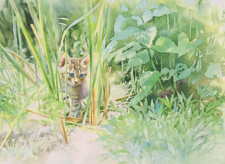 animal bush cat fern grass kitten original painting_(medium) plant realistic scenery tall_grass traditional_media watercolor_(medium) weeds yu_grassbird
