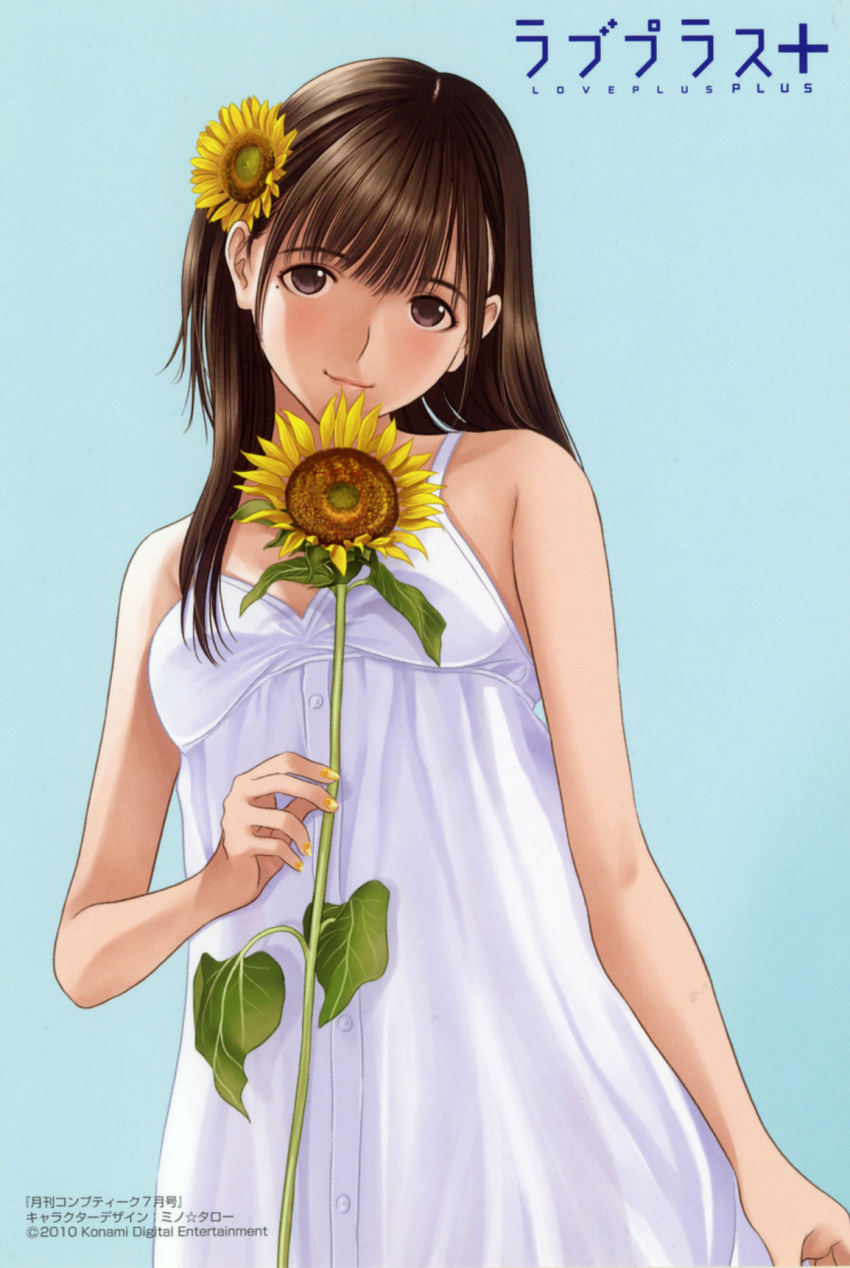 1girl arm_at_side bangs bare_arms bare_shoulders blue_background brown_hair closed_mouth dress feet_out_of_frame female flower hair_flower hair_ornament highres holding holding_flower long_hair looking_at_viewer love_plus mino_taro mole nail_polish official_art purple_eyes simple_background sleeveless sleeveless_dress smile solo standing sunflower violet_eyes white_dress
