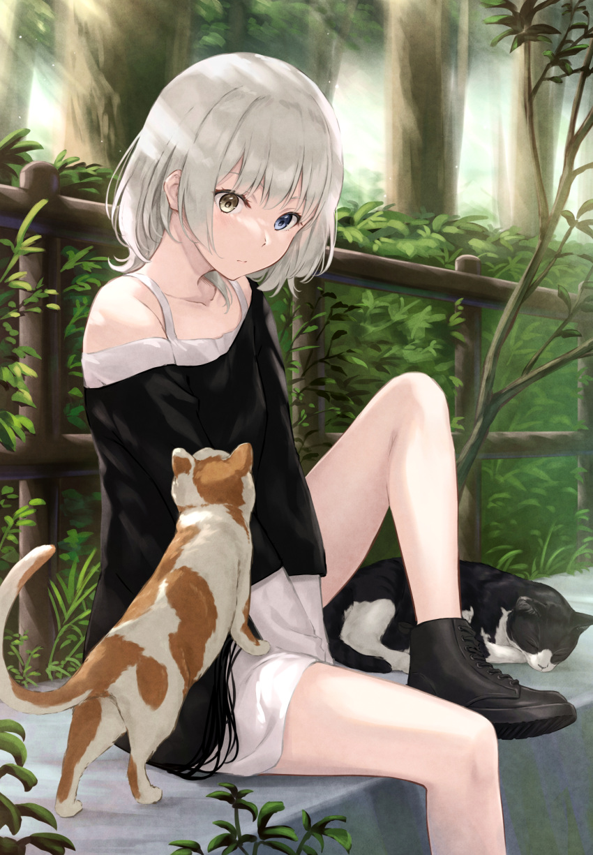 1girl animal ankle_boots bang_dream! bang_dream!_it's_mygo!!!!! bare_shoulders black_footwear black_shirt blue_eyes boots bush cat closed_mouth clothing_cutout collarbone commentary_request day expressionless fence foot_out_of_frame forest heterochromia highres kaname_raana knee_up layered_sleeves light_blush light_particles long_shirt long_sleeves looking_ahead looking_down medium_hair nature nuenue off-shoulder_shirt off_shoulder outdoors shirt shoe_soles shoulder_cutout sitting solo tree undershirt v_arms white_hair white_shirt wooden_fence yellow_eyes