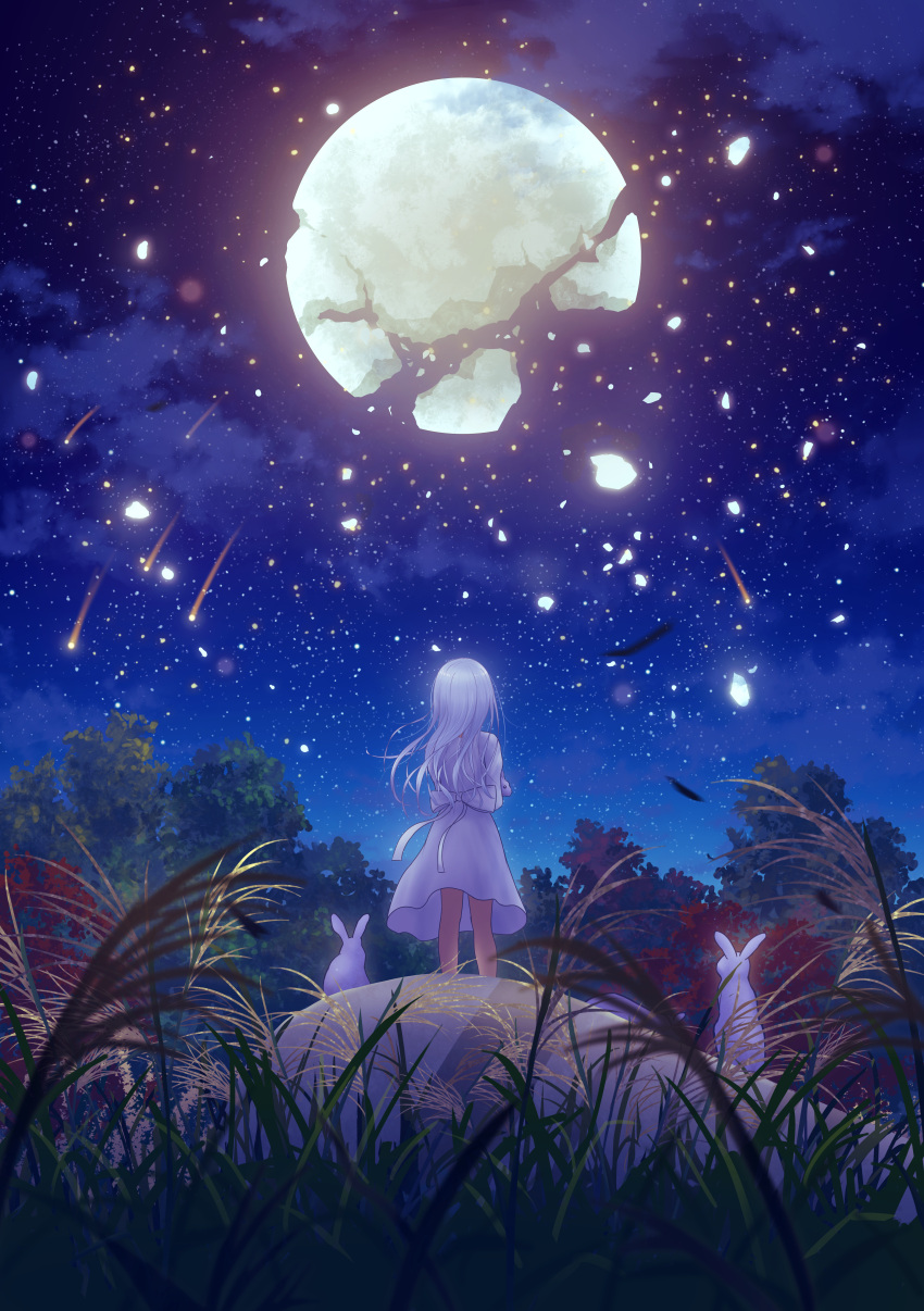 1girl absurdres animal back_bow bow breaking clouds crack dress from_behind grass highres holding holding_animal ilstau long_hair moon night original rabbit scenery shooting_star sky solo standing star_(sky) starry_sky tree white_dress white_hair