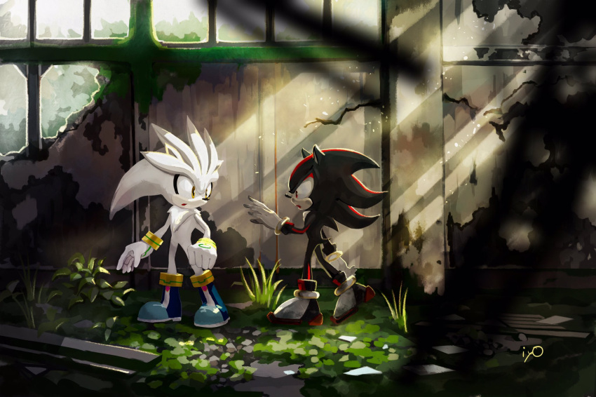 2boys black_fur brown_eyes commentary_request day gloves grey_fur highres iyo_(1eavethebus) male_focus multicolored_fur multiple_boys outdoors red_eyes red_fur shadow_the_hedgehog silver_the_hedgehog sonic_(series) white_gloves