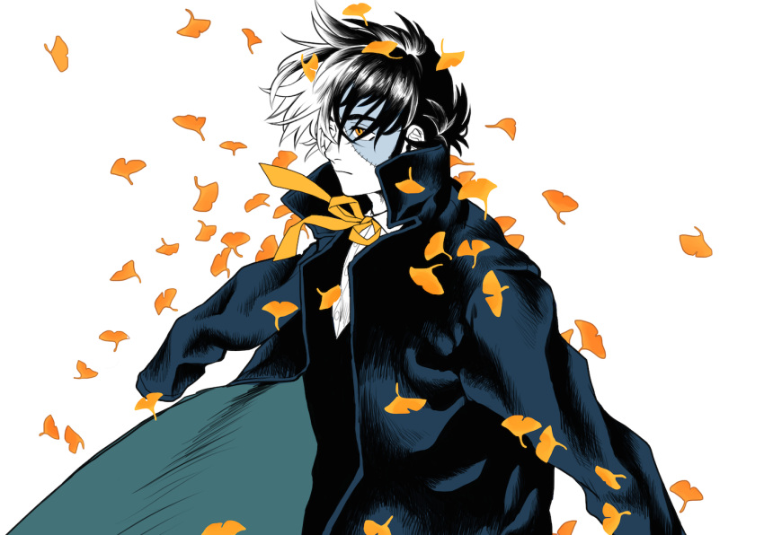 1boy black_coat black_hair black_jack_(character) black_jack_(series) black_vest closed_mouth coat coat_on_shoulders collared_shirt expressionless falling_leaves frown ginkgo_leaf leaf limited_palette long_sideburns long_sleeves male_focus mame_moyashi multicolored_hair neck_ribbon open_clothes open_coat orange_eyes orange_ribbon patchwork_skin ribbon scar scar_on_face shirt short_hair sideburns simple_background solo split-color_hair stitched_face stitches two-tone_hair upper_body vest white_background white_hair white_shirt wing_collar