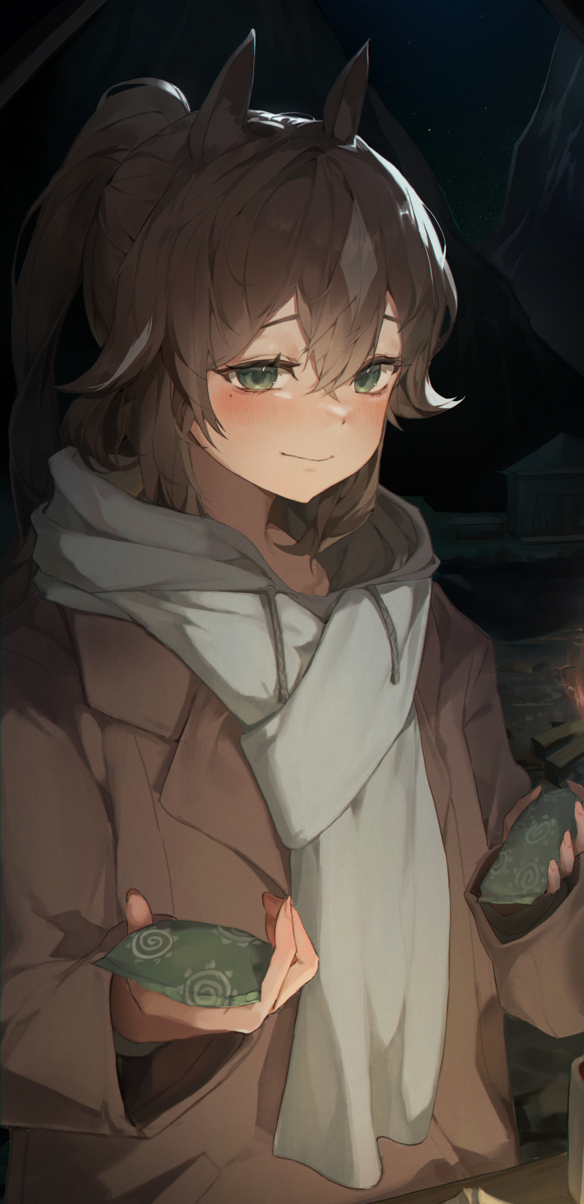 1girl absurdres alternate_costume animal_ears arknights blush brown_coat brown_hair closed_mouth coat cup green_eyes grey_scarf highres holding horse_ears long_hair looking_at_viewer meteor_(arknights) night outdoors ponytail scarf smile solo upper_body yogu_(user_rxdx2445)