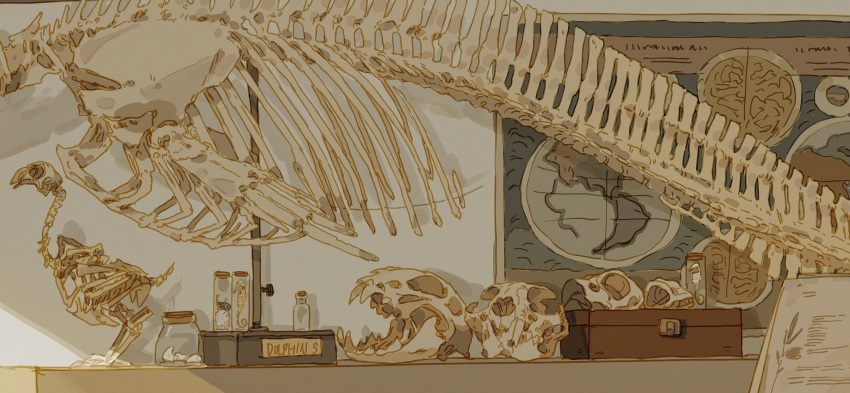 avian_skeleton beetle bird_skull box bug cat_skull commentary desk english_commentary english_text fish highres illegible_text in_jar indoors jar label making-of_available map mounted_skeleton open_mouth original plant poster_(object) scientific_poster seahorse xi_zhang zoology