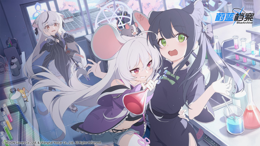 ahoge animal animal_ear_fluff animal_ears animal_on_head beaker black_dress black_hair blue_archive blush china_dress chinese_clothes day dress flask green_eyes grey_hair hair_between_eyes hair_ribbon halo hands_on_own_cheeks hands_on_own_face highres jacket kitto_ha kokona_(blue_archive) laboratory long_hair long_sleeves looking_at_viewer mouse mouse_ears multicolored_hair multiple_girls official_art on_head open_mouth purple_jacket red_eyes ribbon saya_(blue_archive) saya_(casual)_(blue_archive) short_shorts short_sleeves shorts shun_(blue_archive) shun_(small)_(blue_archive) streaked_hair test_tube tiger_ears very_long_hair window