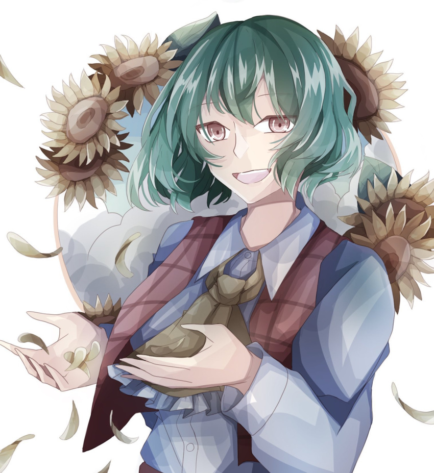 1girl ascot breasts brown_eyes collared_shirt commentary_request flower frilled_ascot frills green_hair highres kazami_yuuka long_sleeves looking_at_viewer medium_bangs medium_breasts open_clothes open_mouth open_vest petals plaid plaid_vest red_vest shirt short_hair smile solo sunflower teeth touhou unafugu upper_body upper_teeth_only vest white_background white_shirt yellow_ascot yellow_flower