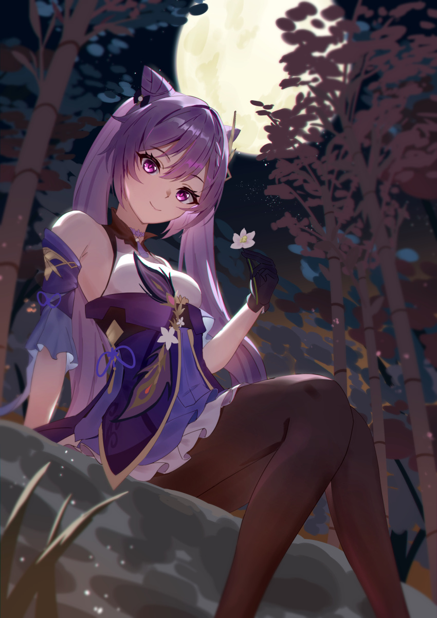 1girl bamboo bamboo_forest black_gloves braid breasts brown_pantyhose choker closed_mouth commentary_request cone_hair_bun detached_sleeves dress flower forest frilled_sleeves frills full_moon genshin_impact gloves hair_bun hair_ornament highres holding holding_flower keqing_(genshin_impact) medium_breasts moon naeeeegi nature night night_sky outdoors pantyhose purple_choker purple_dress purple_hair short_dress short_sleeves sitting sky smile solo twintails violet_eyes