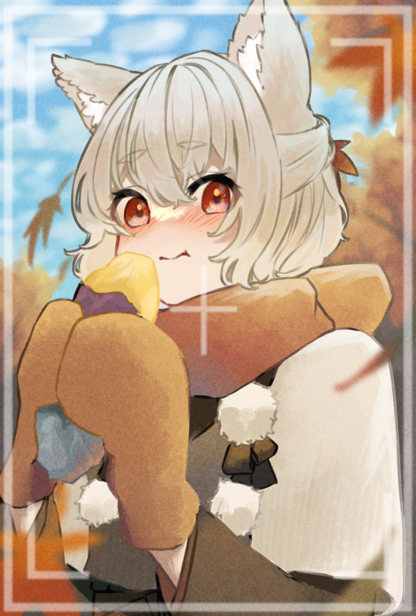 1girl animal_ear_fluff animal_ears blue_sky blurry blush clouds commentary_request depth_of_field food highres holding holding_food inubashiri_momiji leaf looking_at_viewer maple_leaf mittens natomaki outdoors pom_pom_(clothes) red_eyes roasted_sweet_potato scarf short_hair sky solo sweet_potato touhou tree upper_body viewfinder white_hair wolf_ears wolf_girl