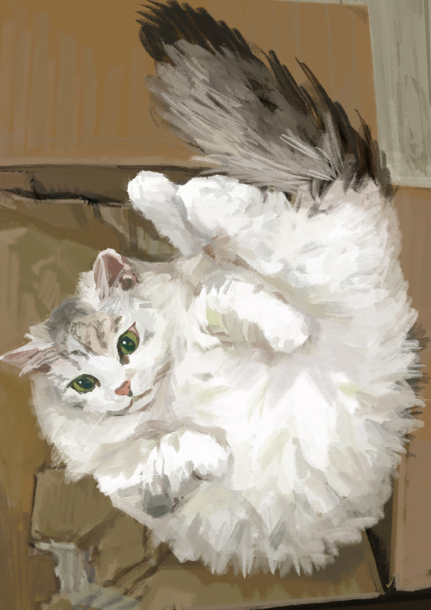 absurdres animal_focus box cardboard_box cat commentary from_above green_eyes highres katakai no_humans original