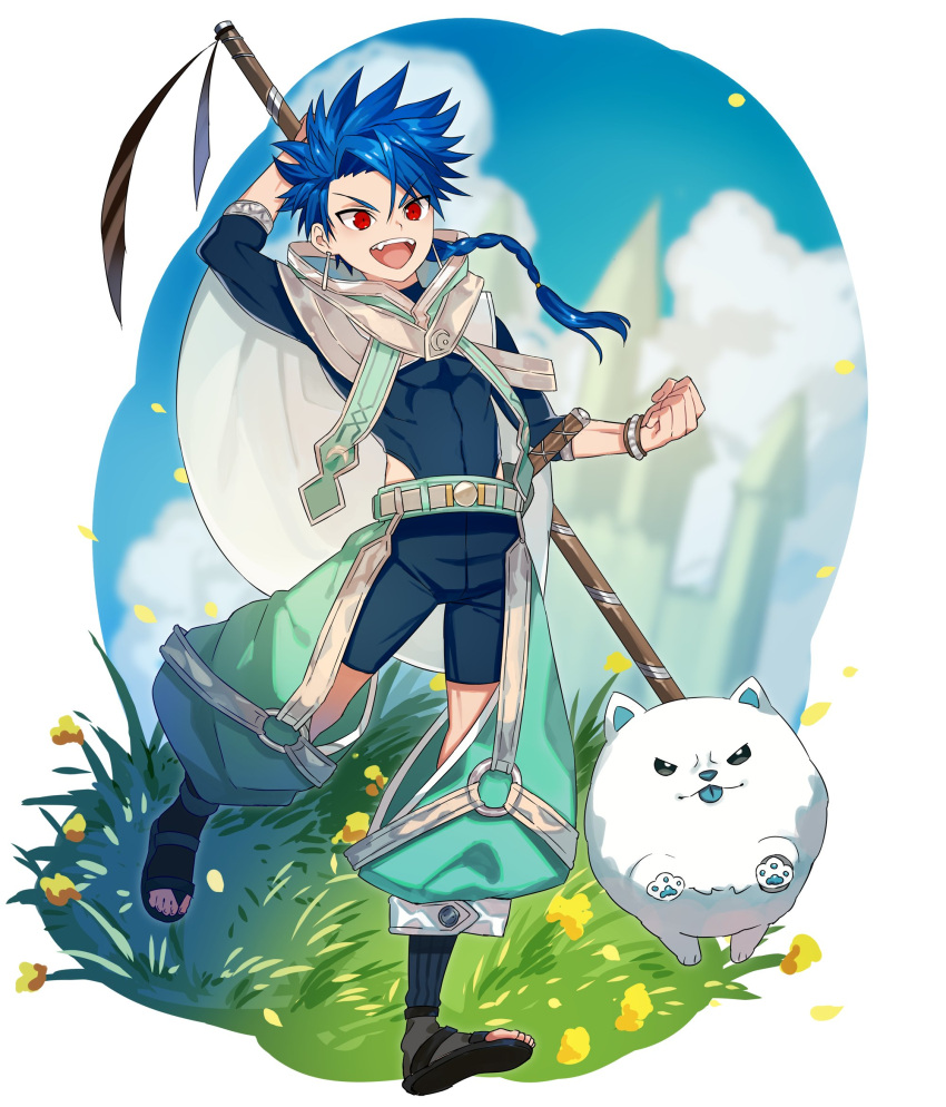 1boy arm_up blue_bodysuit blue_hair blue_tongue bodysuit bracelet braid braided_ponytail cape clenched_hand colored_tongue cu_chulainn_(fate) dog fate/grand_order fate_(series) full_body highres holding holding_polearm holding_weapon jewelry long_hair looking_ahead male_focus open_mouth pawpads polearm puffy_pants puppy red_eyes samoyed_(dog) sandals setanta_(fate) tetsu_(teppei) weapon white_cape white_dog