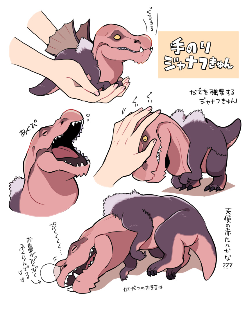 absurdres animal animal_focus anjanath body_fur carrying claws closed_eyes closed_mouth colored_sclera curled_up dinosaur full_body grey_fur headpat highres holding holding_animal ikuchi_osutega in_palm lying minimized monster_hunter_(series) multiple_views on_side open_mouth out_of_frame petting sharp_teeth simple_background size_difference sleeping slit_pupils snoring sound_effects teeth tongue translation_request tyrannosaurus_rex white_background yawning yellow_eyes yellow_sclera