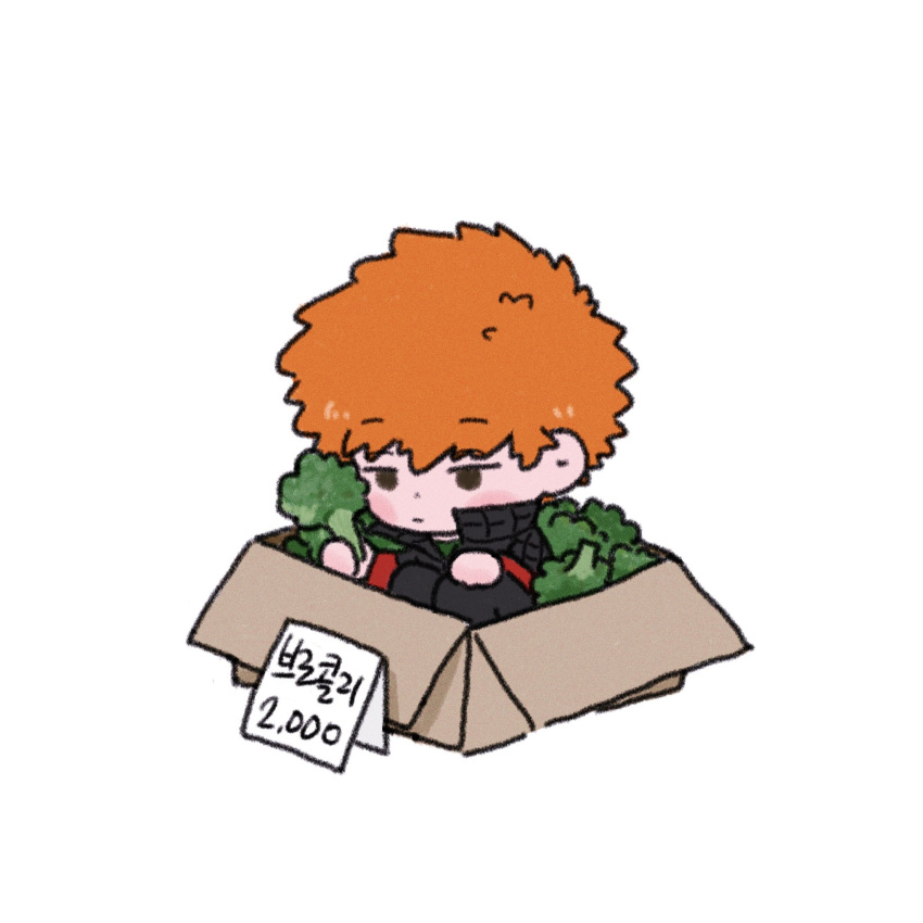 1boy black_pants blush_stickers bored box broccoli cardboard_box chibi food highres holding holding_food ikoma_squad's_uniform in_box in_container jacket korean_commentary korean_text long_sleeves looking_ahead male_focus mizukami_satoshi_(world_trigger) orange_hair pants pie_wt price_tag short_hair simple_background sitting solo white_background world_trigger