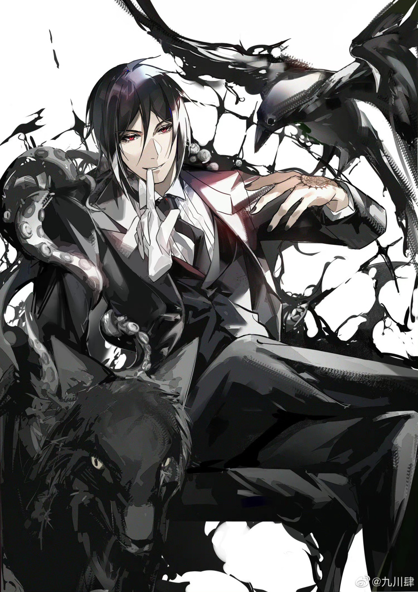 1boy bird bird_on_hand black_hair black_jacket black_nails black_necktie black_pants black_suit black_theme black_vest butler chair collared_shirt crow double-parted_bangs feet_out_of_frame figure_four_sitting glove_in_mouth gloves grin hair_between_eyes hand_tattoo hand_up highres jacket jiuchuansi kuroshitsuji lapels looking_at_viewer male_focus mouth_hold nail_polish necktie notched_lapels open_clothes open_jacket pants red_eyes sebastian_michaelis shirt short_hair sidelocks sitting smile solo suit suit_jacket tattoo tentacles unworn_gloves vest white_background white_gloves white_shirt wolf