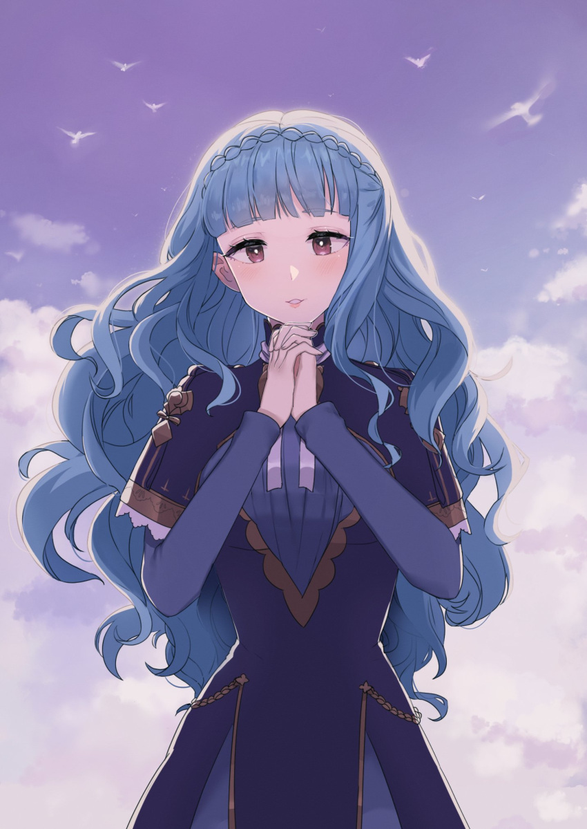 1girl blue_capelet blue_dress blue_hair blue_sky braid brown_eyes capelet clouds crown_braid dress english_commentary eyelashes fire_emblem fire_emblem:_three_houses highres lilshironeko long_hair loose_hair_strand marianne_von_edmund medium_bangs own_hands_together parted_lips simple_bird sky solo