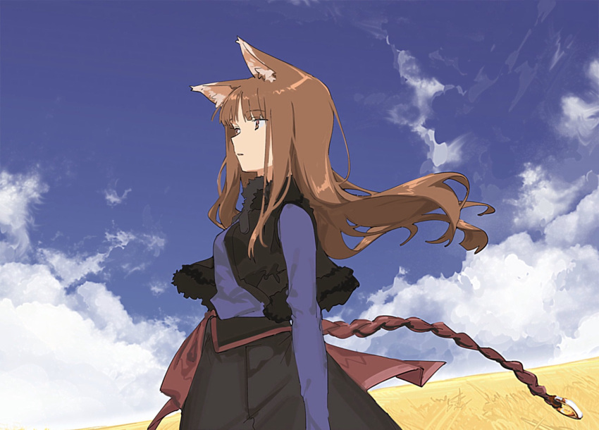 1girl animal_ears blue_sky clouds cloudy_sky field fox_ears fox_girl highres looking_afar scene_reference sky solo spice_and_wolf suiso_(owp)