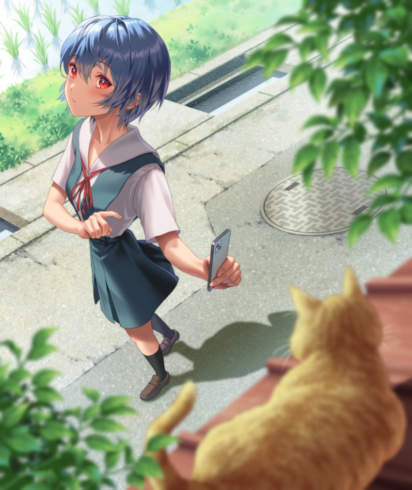 1girl ayanami_rei black_socks blue_hair blue_skirt blurry blurry_foreground blush bow bowtie breasts brown_footwear cat cellphone collared_shirt commentary foliage foreshortening from_above full_body highres holding holding_phone loafers looking_at_viewer manhole_cover neck_ribbon neon_genesis_evangelion phone pointing pursed_lips red_bow red_bowtie red_eyes red_ribbon ribbon rice_paddy road school_uniform shadow shirt shoes short_hair short_sleeves skirt small_breasts smartphone socks solo storm_drain suspender_skirt suspenders taking_picture tile_roof tokyo-3_middle_school_uniform tree white_shirt yahha