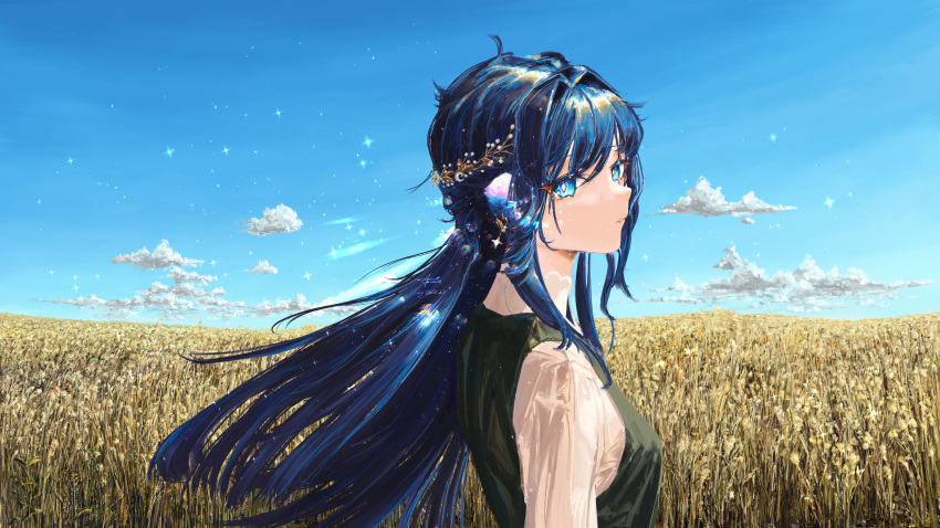 1girl absurdres animal_ears arknights astesia_(arknights) bird_ears blue_eyes blue_hair bright_pupils clouds from_side hair_ornament highres immeasurable long_hair looking_at_viewer outdoors portrait shirt sky solo star_(symbol) turning_head wheat wheat_field white_pupils white_shirt