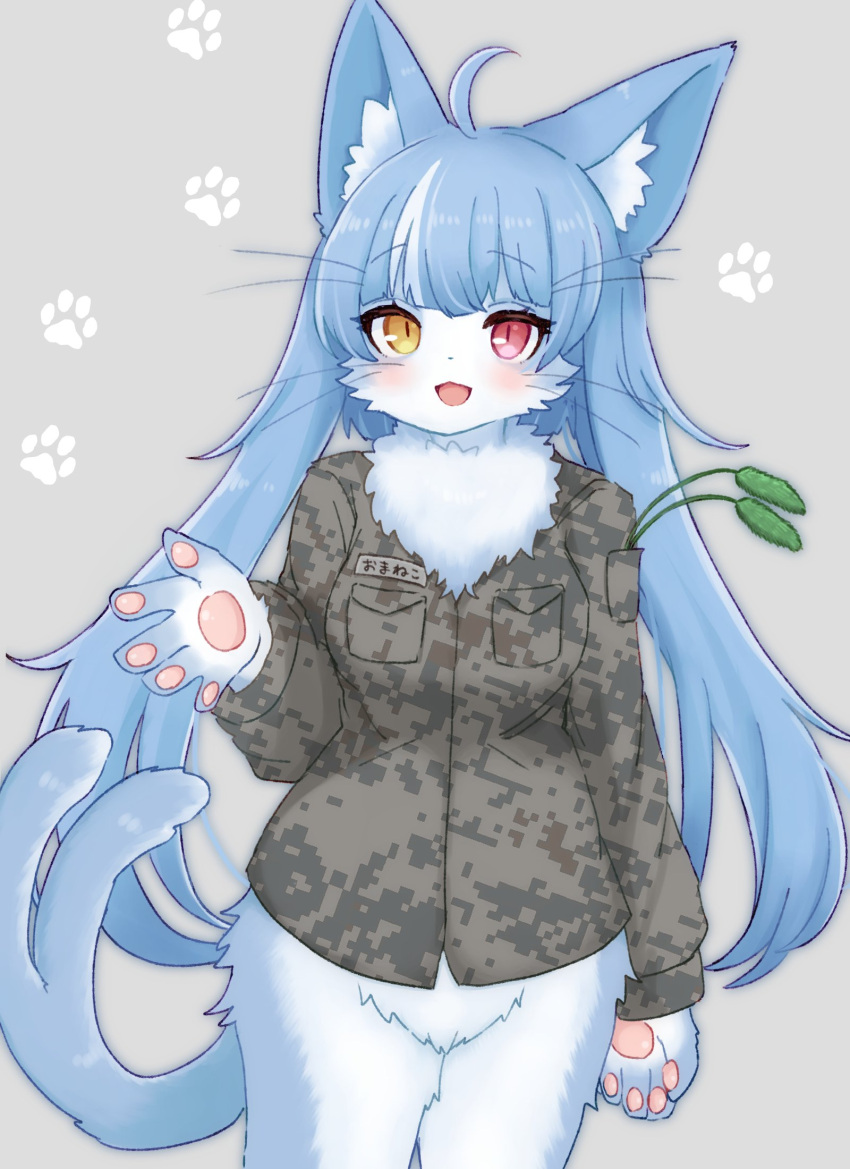 1boy ahoge androgynous animal_ear_fluff animal_hands blush bottomless camouflage camouflage_shirt cat_boy cattail commentary_request cowboy_shot furry furry_male grey_background heterochromia highres japan_air_self-defense_force japan_air_self-defense_force_omaezaki_sub-base japan_self-defense_force long_hair looking_at_viewer male_focus medium_bangs military mokumokuuma omaneko open_mouth otoko_no_ko paw_print paw_print_background plant red_eyes shirt slit_pupils smile solo split_tail whiskers yellow_eyes
