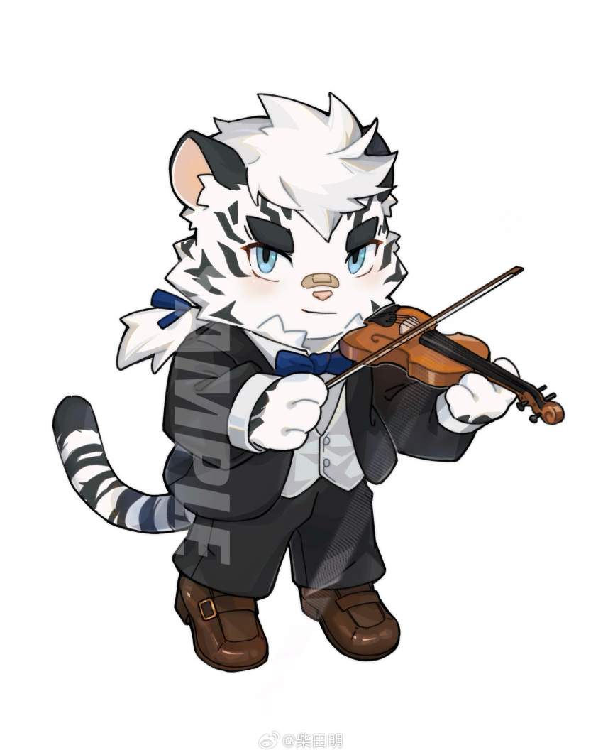 1boy animal_ears arknights bandaid bandaid_on_face bandaid_on_nose black_pants black_suit blue_bow blue_bowtie bow bowtie brown_footwear chibi chinese_commentary commentary_request furry furry_male highres holding holding_bow_(music) holding_instrument holding_violin instrument looking_at_viewer male_focus mountain_(arknights) pants ponytail shibata_akira shirt suit tail thick_eyebrows tiger_boy tiger_ears tiger_stripes tiger_tail vest violin white_shirt white_vest