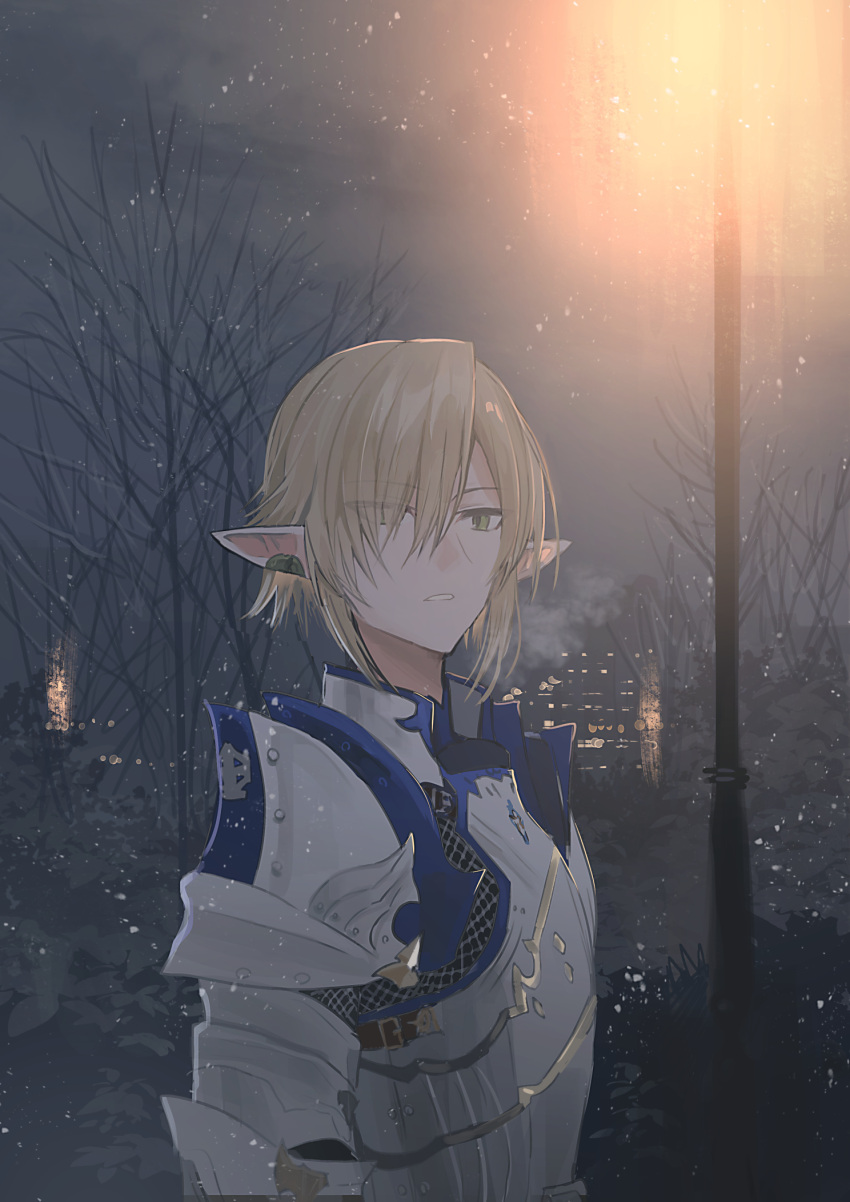 1boy armor bare_tree blonde_hair breastplate breath building chihuri elezen elf eyes_visible_through_hair final_fantasy final_fantasy_xiv from_side green_eyes hair_over_one_eye highres lamppost looking_to_the_side male_focus night night_sky outdoors parted_lips pauldrons pointy_ears shoulder_armor sky snowing solo tree upper_body zephirin_de_valhourdin