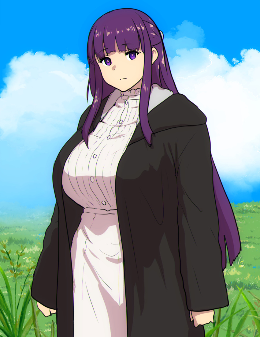 1girl black_coat blue_sky breasts clouds cloudy_sky coat day dress erkaz expressionless fern_(sousou_no_frieren) grass highres large_breasts long_sleeves looking_at_viewer outdoors purple_hair purple_pupils sky solo sousou_no_frieren upper_body violet_eyes white_dress