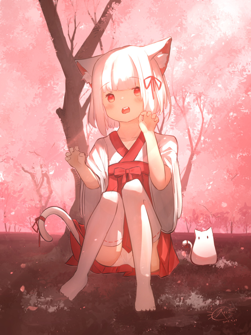 1girl animal_ears cat cat_ears cat_girl cat_tail cherry_blossoms chinese_commentary commentary_request dated english_commentary full_body hakama hakama_skirt highres japanese_clothes kimono looking_at_viewer mixed-language_commentary open_mouth original outdoors red_eyes red_skirt rune_xiao short_hair signature skirt solo tail teeth thigh-highs tree upper_teeth_only white_hair white_kimono white_thighhighs