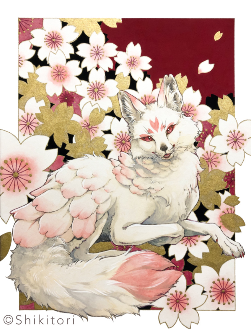 animal animal_focus artist_name border cherry_blossoms commentary_request falling_petals floral_background flower fox highres leaf looking_at_viewer lying no_humans on_stomach open_mouth original outside_border painting_(medium) parted_lips petals pink_flower red_background red_eyes shikitori_(ichi) slit_pupils solo traditional_media turning_head watercolor_(medium) white_border