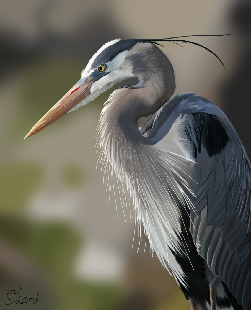 absurdres animal animal_focus artofmrlamb bird blurry blurry_background closed_mouth commentary cowboy_shot dated depth_of_field english_commentary from_side great_blue_heron heron highres looking_ahead no_humans original photoshop_(medium) realistic signature solo standing yellow_eyes